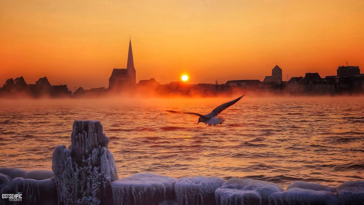 Koralle Rostock Bagian luar foto